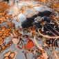 Preview: Stoff Powerstretch Jersey Ornamente Blumenmuster Abstrakt Design orange grau schwarz bunt Kleiderstoff