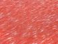 Preview: Stoff leichter Strickstoff rot coralle melange Kleiderstoff Blusenstoff