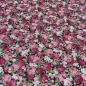 Preview: Fabric cotton poplin blouse fabric with rose flower design black pink pink green dress fabric decorative fabric