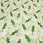 Preview: Fabric cotton poplin frog king frogs Kiss Me green white colorful dress fabric blouse fabric decoration fabric