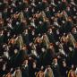 Preview: Fabric cotton jersey license print Harry Potter Hermione Ron black colorful children's fabric dress fabric