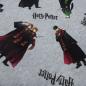 Preview: Stoff Baumwolle Jersey Lizenzdruck Harry Potter Hermine Ron grau melange bunt Kinderstoff Kleiderstoff