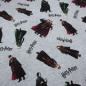 Preview: Stoff Baumwolle Jersey Lizenzdruck Harry Potter Hermine Ron grau melange bunt Kinderstoff Kleiderstoff