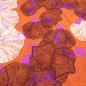 Preview: Fabric viscose jersey flower design orange white brown purple dress fabric children's fabric