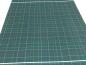 Preview: Fabric cotton jersey panel 68 cm x 146 cm winter bear bear check design green brown gray colorful children's fabric dress fabric
