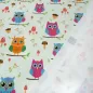 Preview: Stoff Baumwolle Jersey mit Eulen Design hellgrün orange blau pink bunt Kinderstoff Kleiderstoff