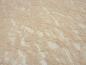 Preview: Stoff Stretch Spitze Spitzenstoff Blumen Rosen Ranken Design beige sand Kleiderstoff