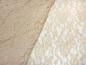 Preview: Stoff Stretch Spitze Spitzenstoff Blumen Rosen Ranken Design beige sand Kleiderstoff