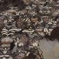 Preview: Stoff Viskose Jersey Blumen abstrakt Design braun beige ocker bunt Kleiderstoff