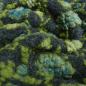 Preview: Fabric italian patterned walkloden boiled wool relief flowers tendrils anthracite green petrol coat fabric dress fabric