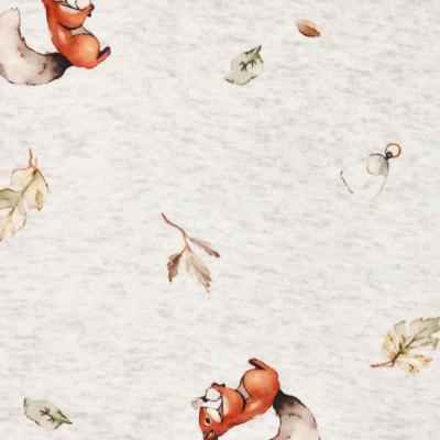 Stoff Sweatshirtstoff Alpenfleece Abseite Eichhörnchen Blätter wollweiß melange braun beige oliv bunt Kinderstoff Kleiderstoff Hoodiestoff
