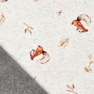 Stoff Sweatshirtstoff Alpenfleece Abseite Eichhörnchen Blätter wollweiß melange braun beige oliv bunt Kinderstoff Kleiderstoff Hoodiestoff
