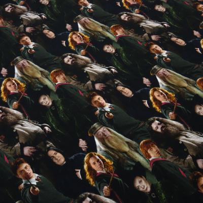 Fabric cotton jersey license print Harry Potter Hermione Ron black colorful children's fabric dress fabric