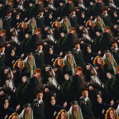 Fabric cotton jersey license print Harry Potter Hermione Ron black colorful children's fabric dress fabric