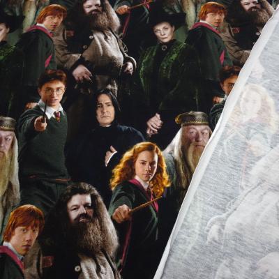 Fabric cotton jersey license print Harry Potter Hermione Ron black colorful children's fabric dress fabric
