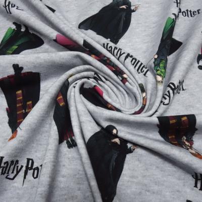Stoff Baumwolle Jersey Lizenzdruck Harry Potter Hermine Ron grau melange bunt Kinderstoff Kleiderstoff