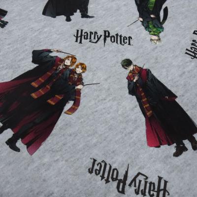 Stoff Baumwolle Jersey Lizenzdruck Harry Potter Hermine Ron grau melange bunt Kinderstoff Kleiderstoff