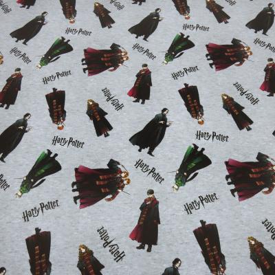 Stoff Baumwolle Jersey Lizenzdruck Harry Potter Hermine Ron grau melange bunt Kinderstoff Kleiderstoff