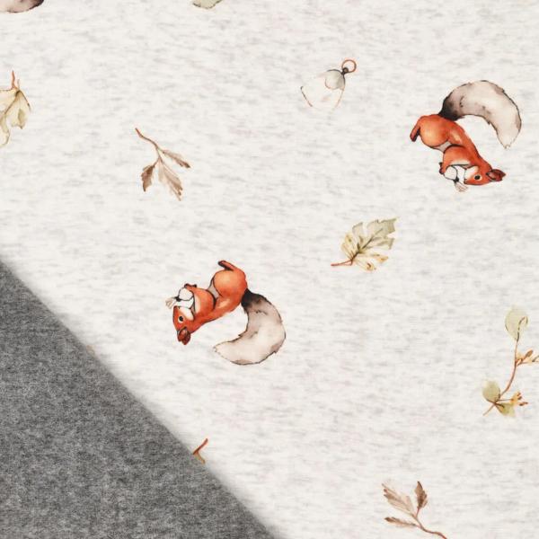 Stoff Sweatshirtstoff Alpenfleece Abseite Eichhörnchen Blätter wollweiß melange braun beige oliv bunt Kinderstoff Kleiderstoff Hoodiestoff