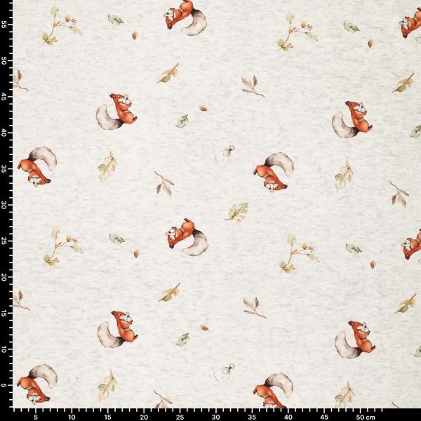 Stoff Sweatshirtstoff Alpenfleece Abseite Eichhörnchen Blätter wollweiß melange braun beige oliv bunt Kinderstoff Kleiderstoff Hoodiestoff