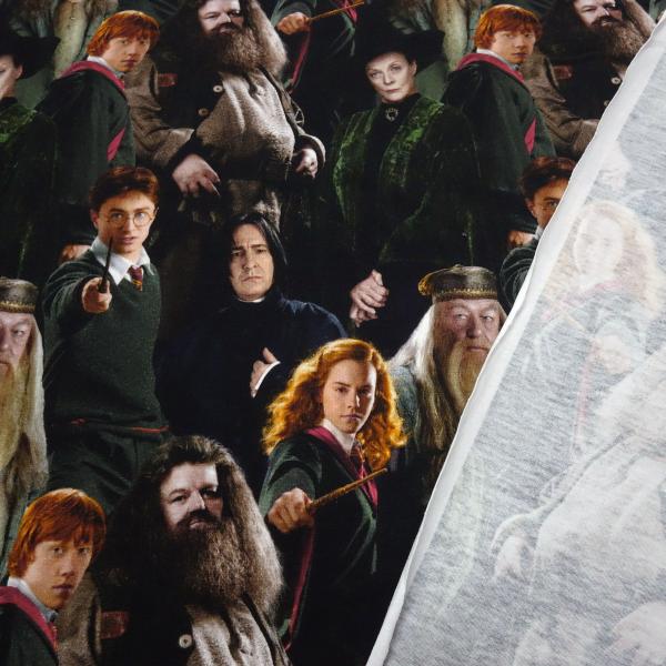 Fabric cotton jersey license print Harry Potter Hermione Ron black colorful children's fabric dress fabric