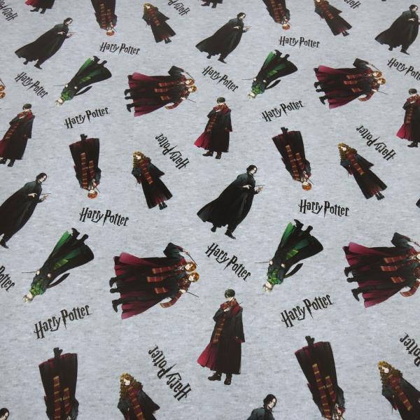 Stoff Baumwolle Jersey Lizenzdruck Harry Potter Hermine Ron grau melange bunt Kinderstoff Kleiderstoff