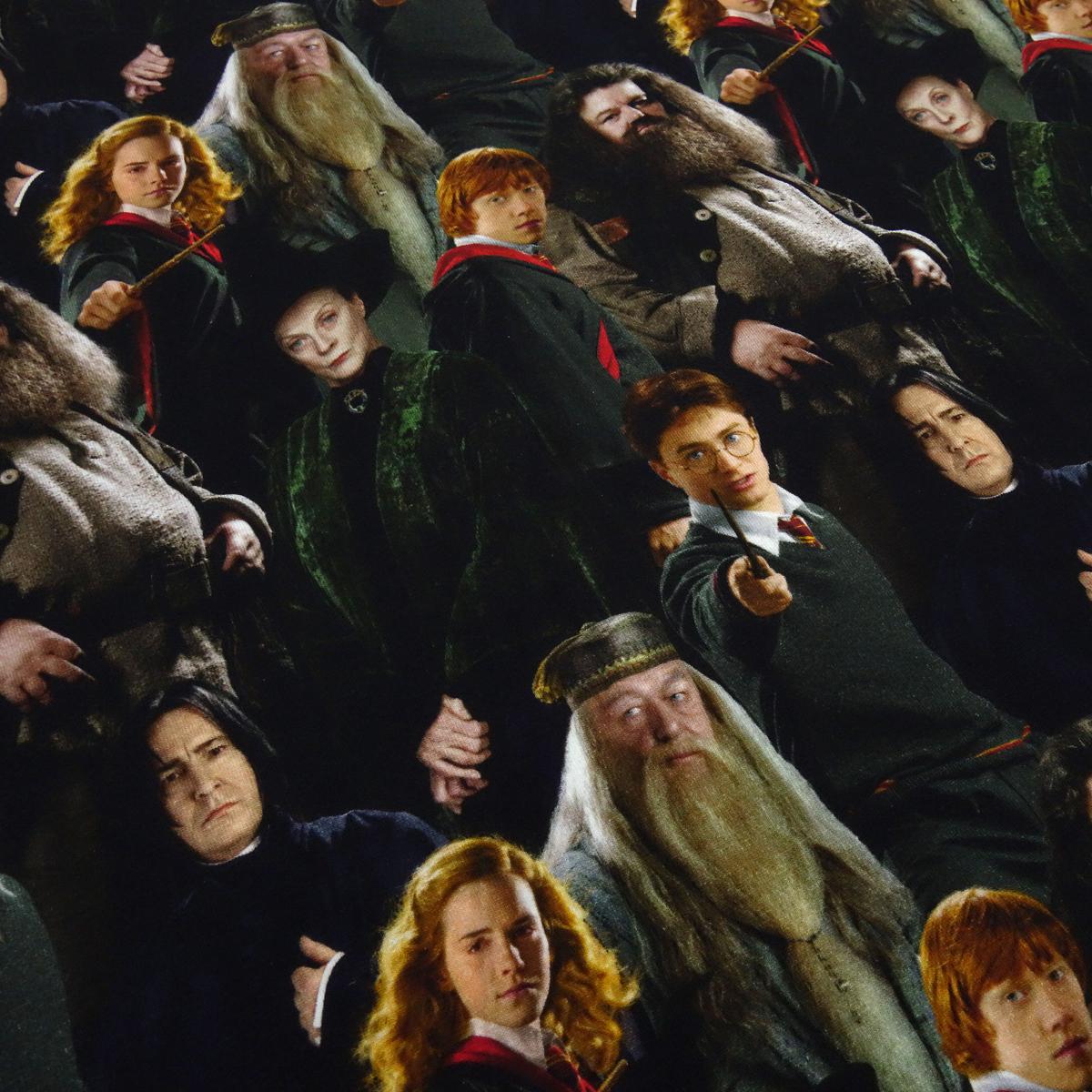 Fabric cotton jersey license print Harry Potter Hermione Ron black colorful children's fabric dress fabric