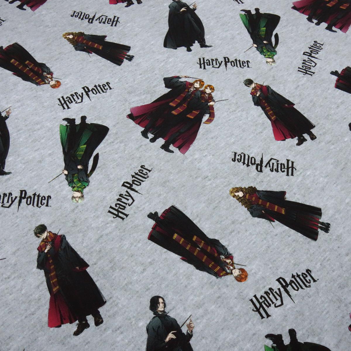 Stoff Baumwolle Jersey Lizenzdruck Harry Potter Hermine Ron grau melange bunt Kinderstoff Kleiderstoff